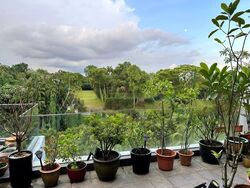 Shelford View (D11), Condominium #458602671